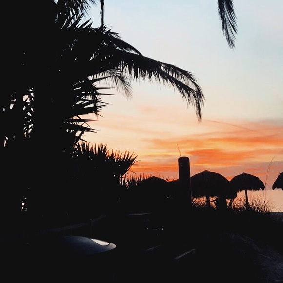 Meet your Posher, Camryn - Picture 1 of 1